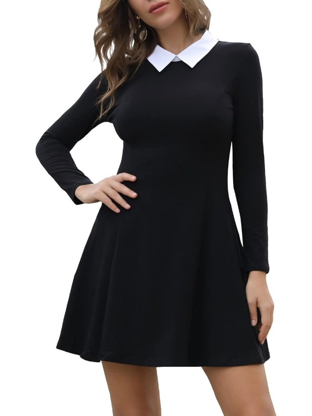 Women's Black Long Sleeve Peter Pan Collar A Line Fit & Flare Skater Goth Dress